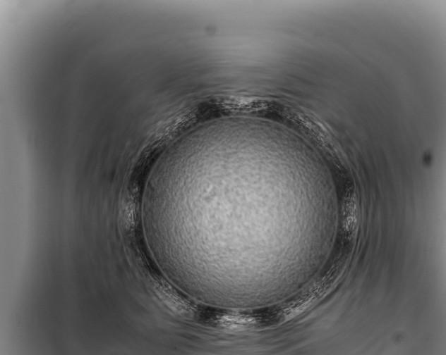 X0000100860515200806271203