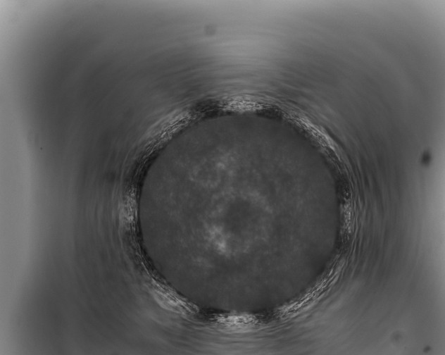 X0000100860517200806271203