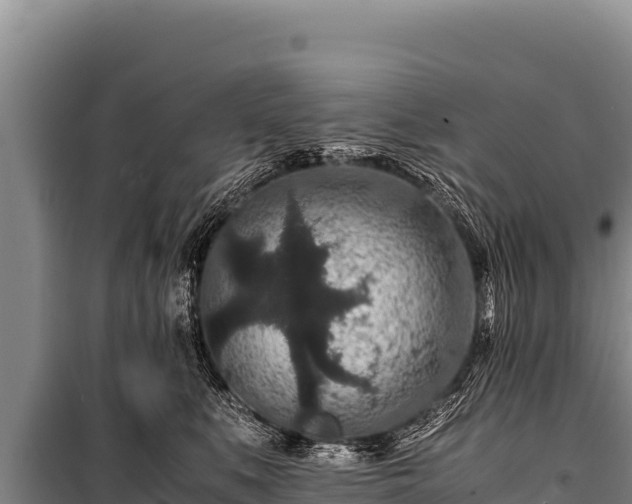 X0000100860519200806271203