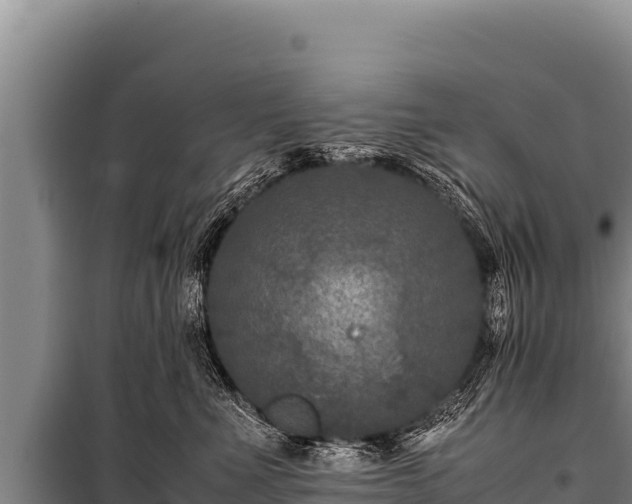 X0000100860523200806271203