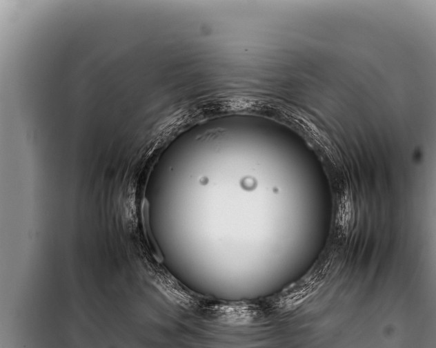 X0000100860524200806271203