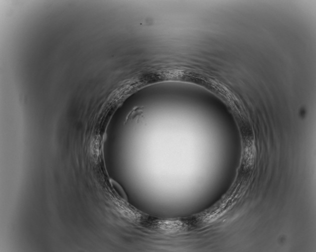 X0000100860525200806271203