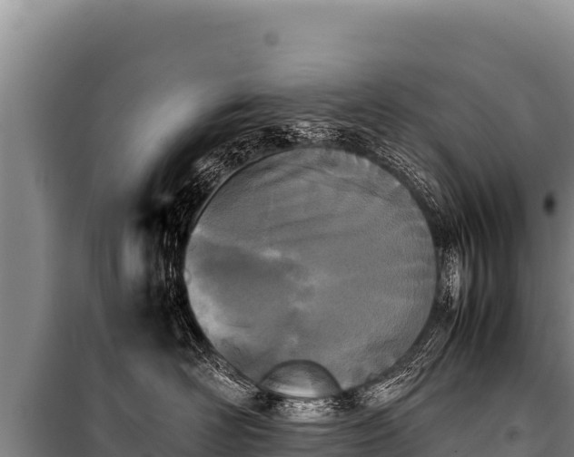 X0000100860526200806271203