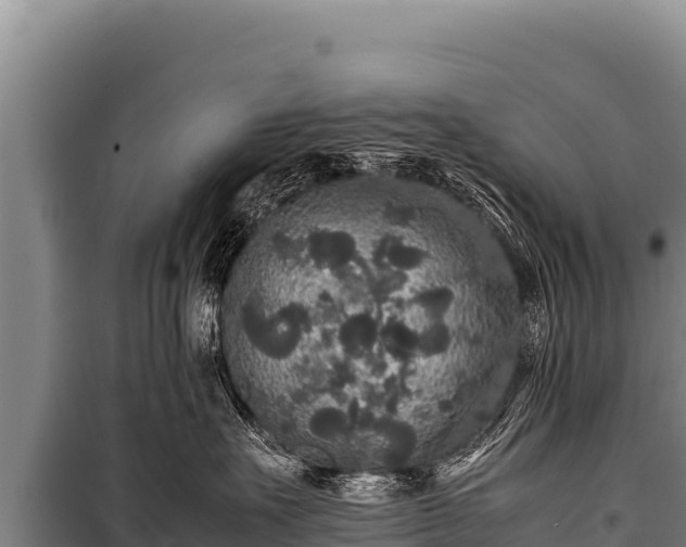 X0000100860527200806271203