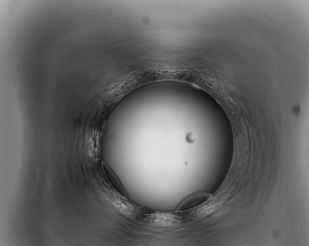 X0000100860528200806271203