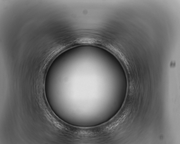 X0000100860529200806271202