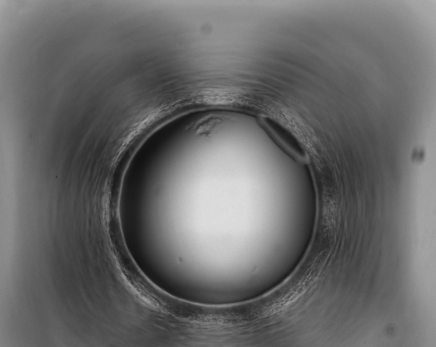 X0000100860530200806271202