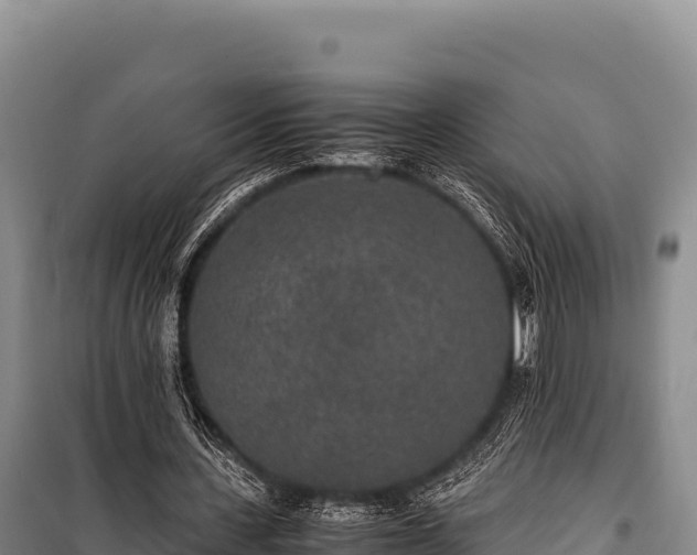 X0000100860531200806271202