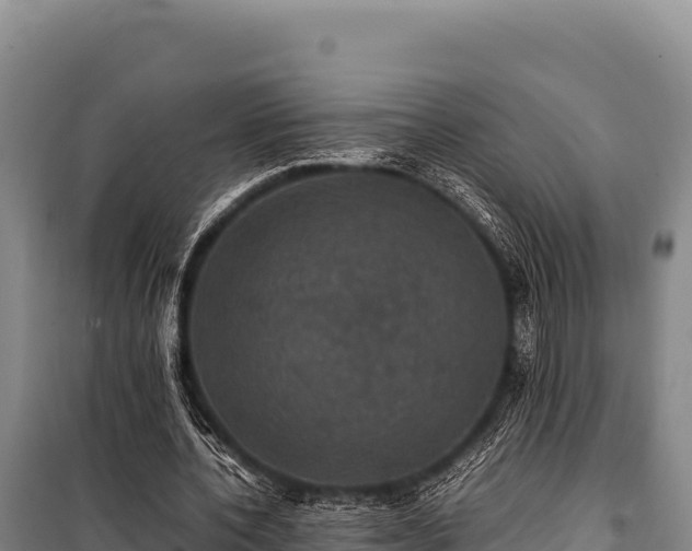 X0000100860532200806271202