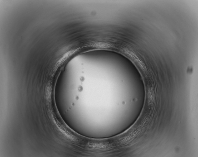 X0000100860533200806271202