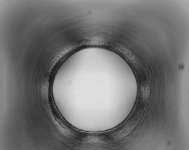 X0000100860534200806271202