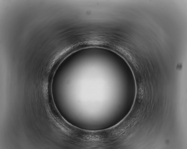 X0000100860535200806271202