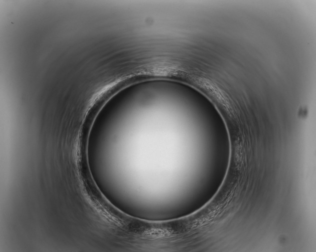 X0000100860536200806271202