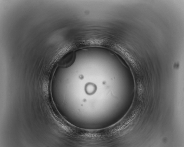 X0000100860537200806271202