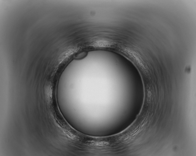 X0000100860539200806271202