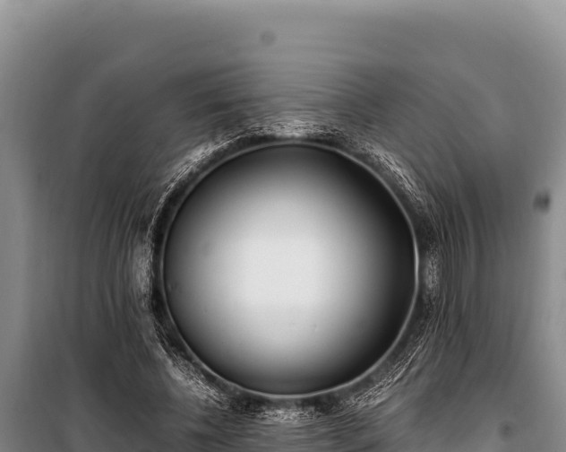 X0000100860540200806271202