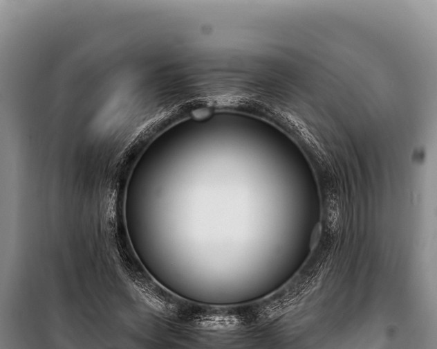 X0000100860543200806271202