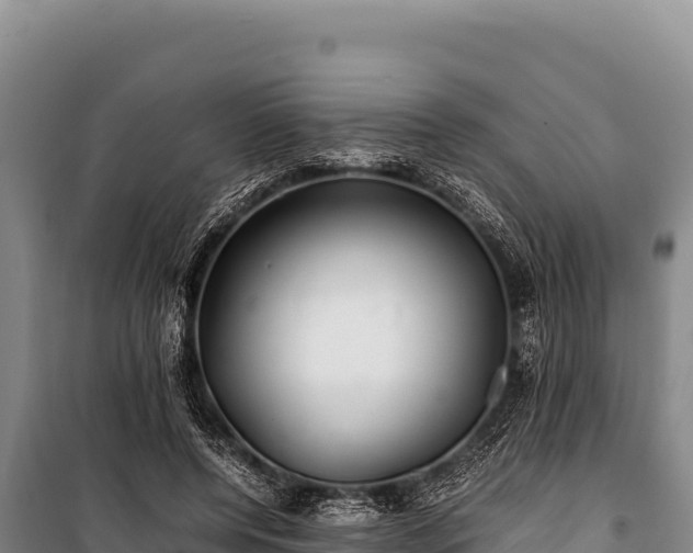 X0000100860544200806271202