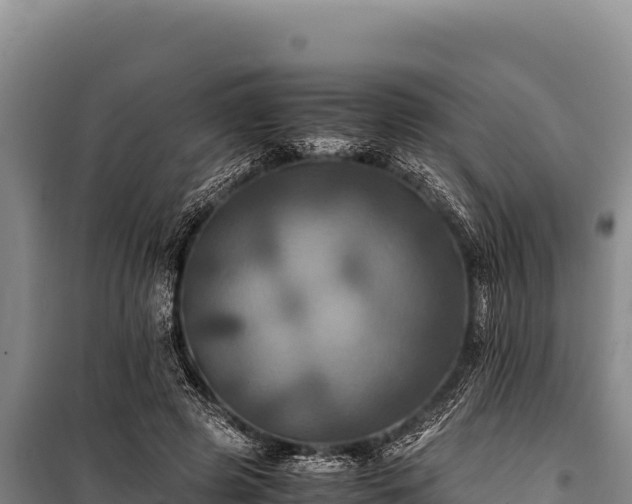 X0000100860545200806271202