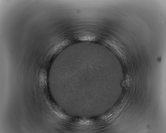 X0000100860547200806271202