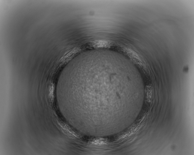 X0000100860550200806271202