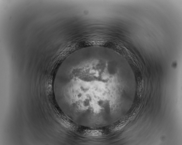 X0000100860553200806271202