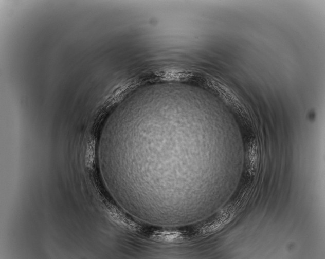 X0000100860554200806271202