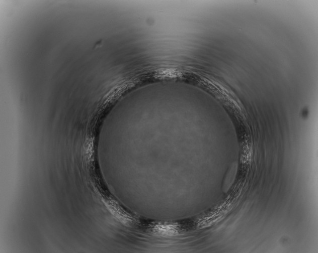 X0000100860560200806271202