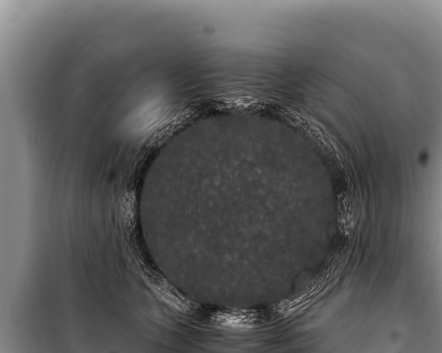 X0000100860563200806271202