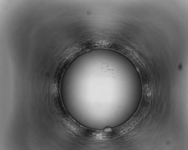 X0000100860564200806271202