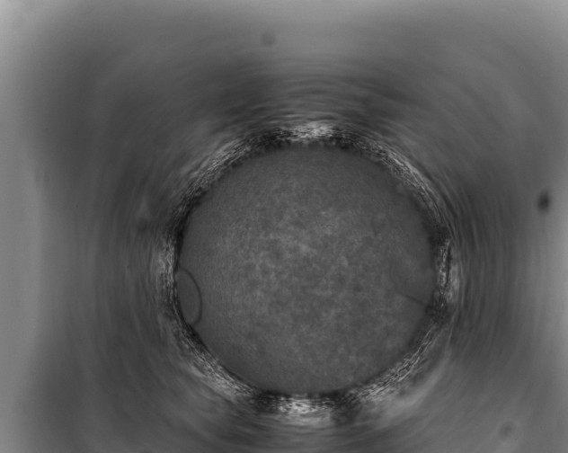 X0000100860565200806271202