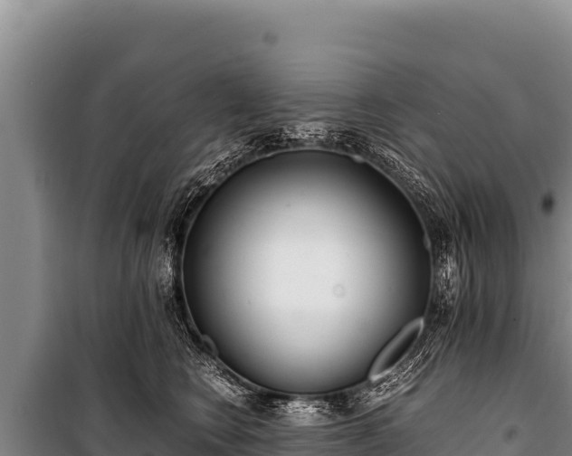 X0000100860566200806271202