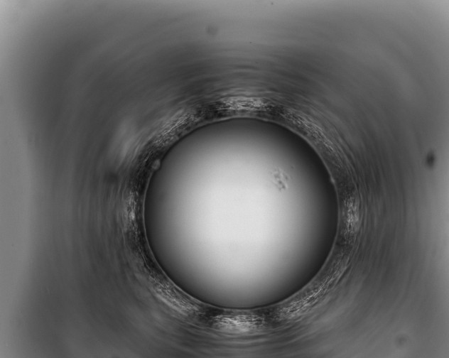 X0000100860567200806271202