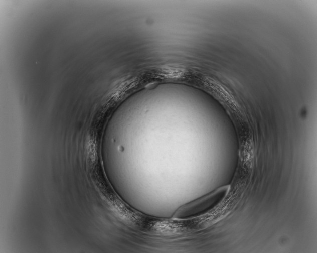 X0000100860568200806271202