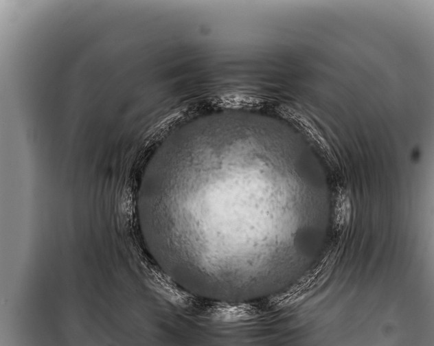 X0000100860569200806271202