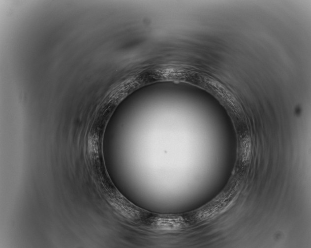 X0000100860571200806271202