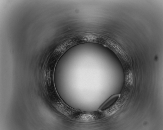 X0000100860572200806271203