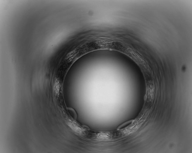 X0000100860574200806271203