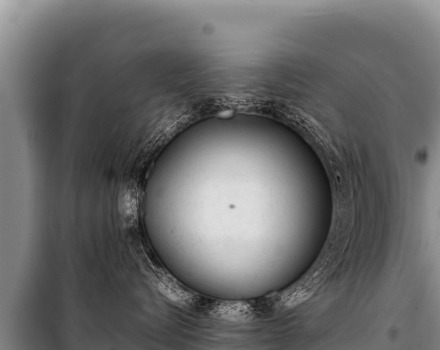 X0000100860576200806271203