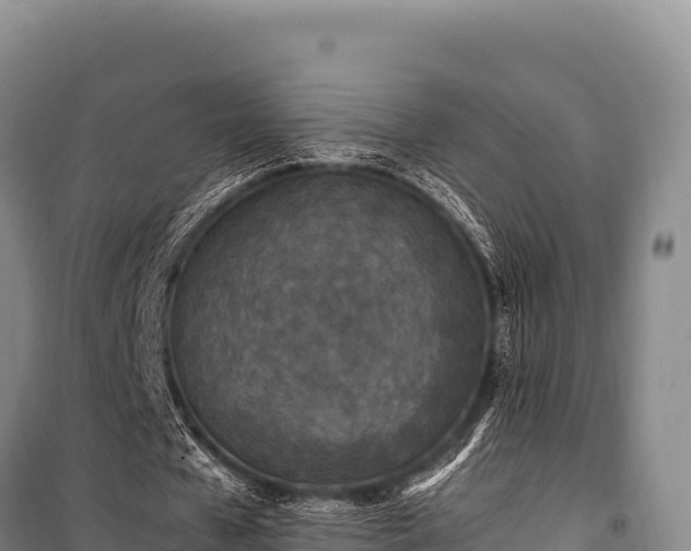 X0000100860577200806271202