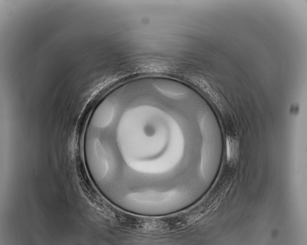 X0000100860579200806271202