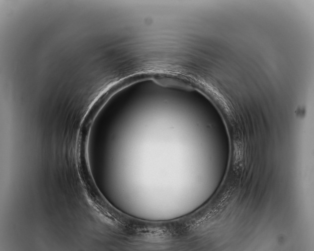 X0000100860580200806271202