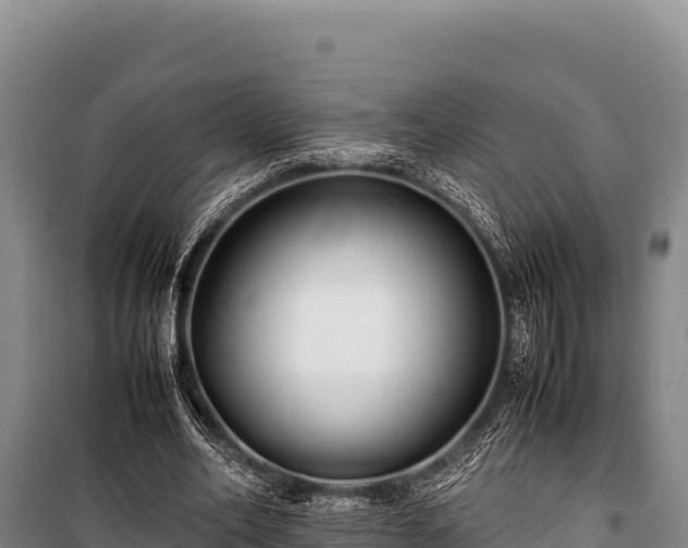 X0000100860582200806271202