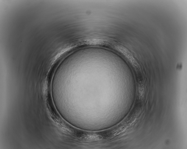 X0000100860583200806271202