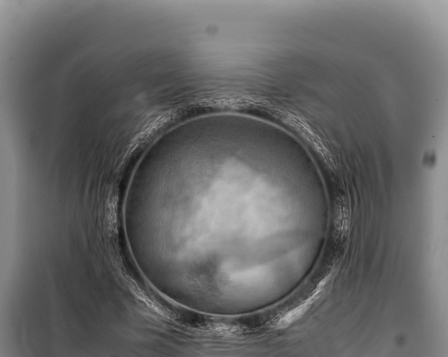 X0000100860585200806271202