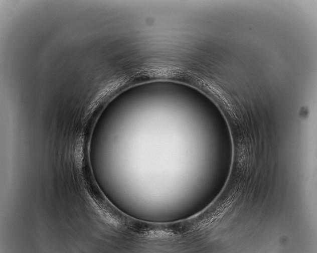 X0000100860586200806271202