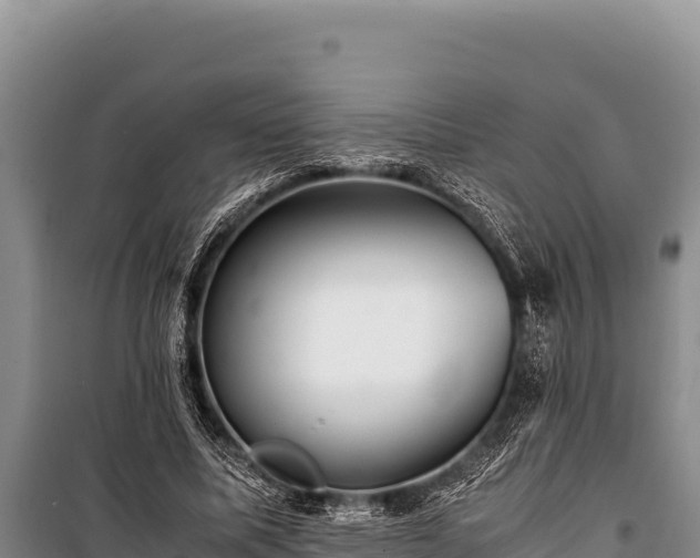 X0000100860587200806271202