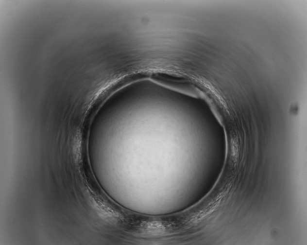 X0000100860588200806271202