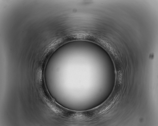 X0000100860589200806271202