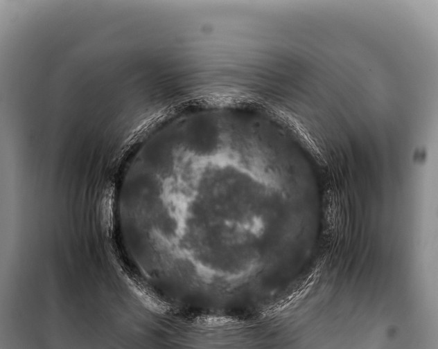 X0000100860590200806271202